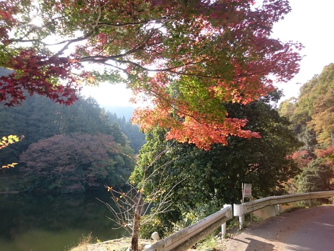 さて 紅葉は 鎌北湖と宿谷の滝 がうブログｒ 自転車と自然を楽しむブログ