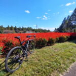 大宮花の丘農林公苑に行ってきました。　その２　グルメライドと直線番長編