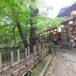 矢野口からニョロニョロまでのルート再訪　その１　脳みそバグります編