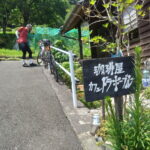 棗さんとむかし道　その２　嵌められたがうさんと素敵なランチ編