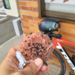 新しいアクションカムを買いました！　お試しで都幾川ライド　その１秋海棠を見てきたよ編