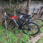 よすけさんと曼殊沙華＆グルメライド